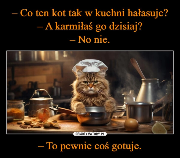 
    – Co ten kot tak w kuchni hałasuje?
– A karmiłaś go dzisiaj?
– No nie. – To pewnie coś gotuje.