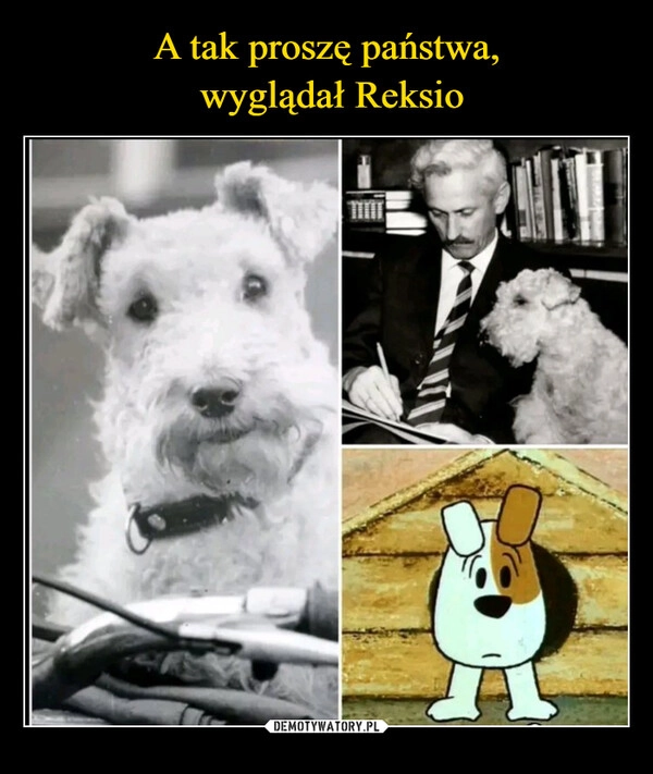 
    A tak proszę państwa,
 wyglądał Reksio