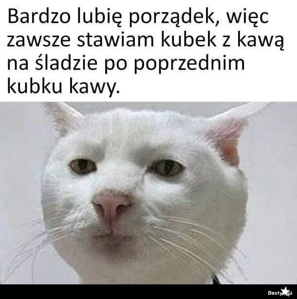 
    Porządek 