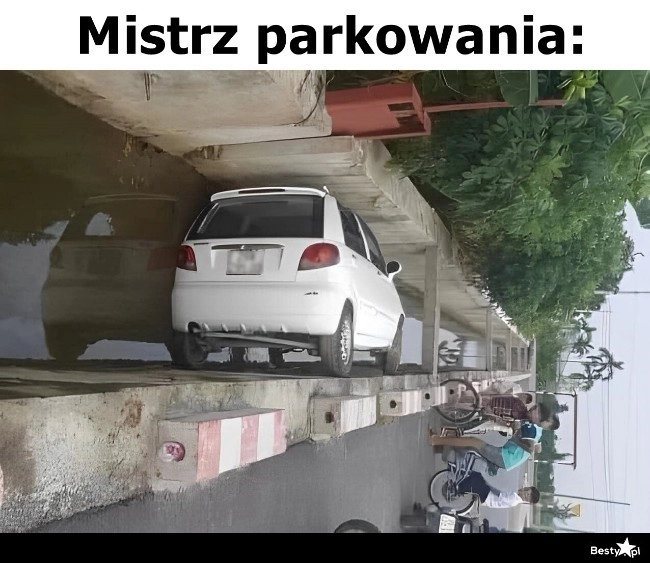 
    Mistrz parkowania 