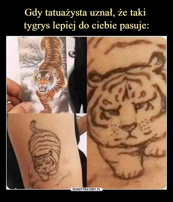 
    
Gdy tatuażysta uznał, że taki
tygrys lepiej do ciebie pasuje: 