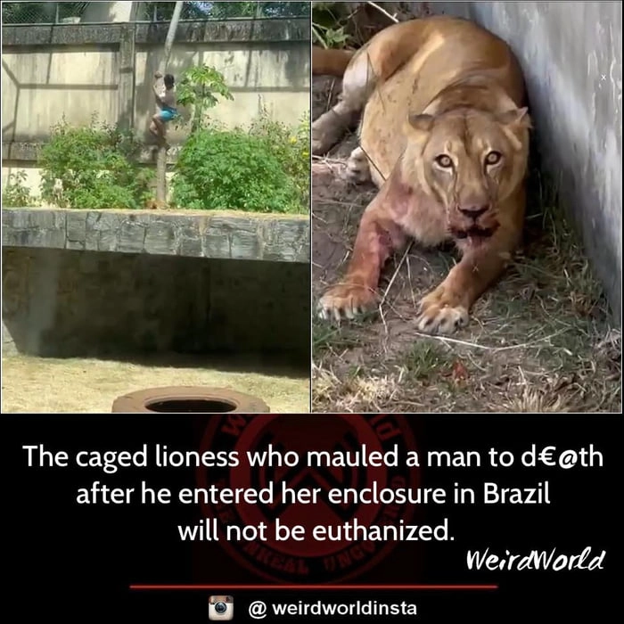 
    A worse fate for humanity has been averted!!