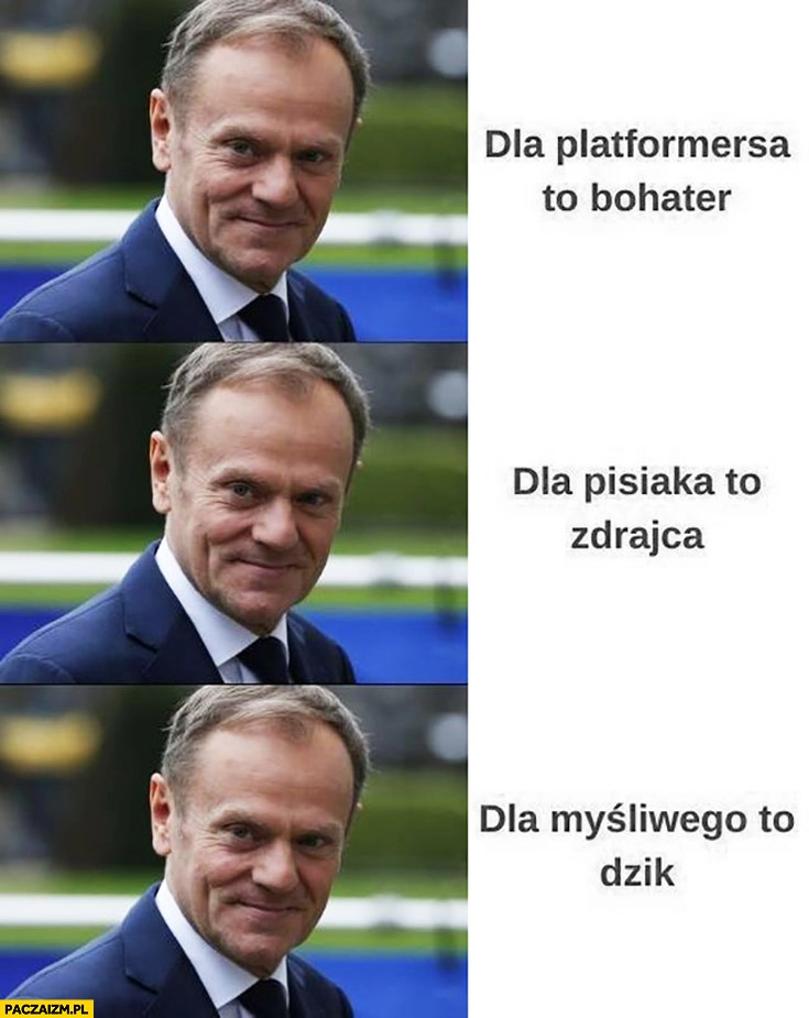 
    Tusk dla platformersa bohater, dla pisiaka zdrajca, dla myśliwego dzik