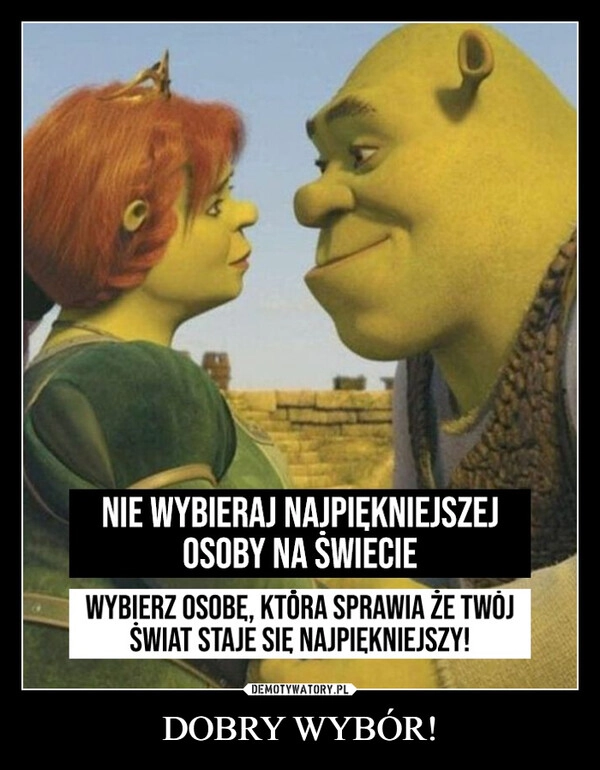 
    DOBRY WYBÓR!