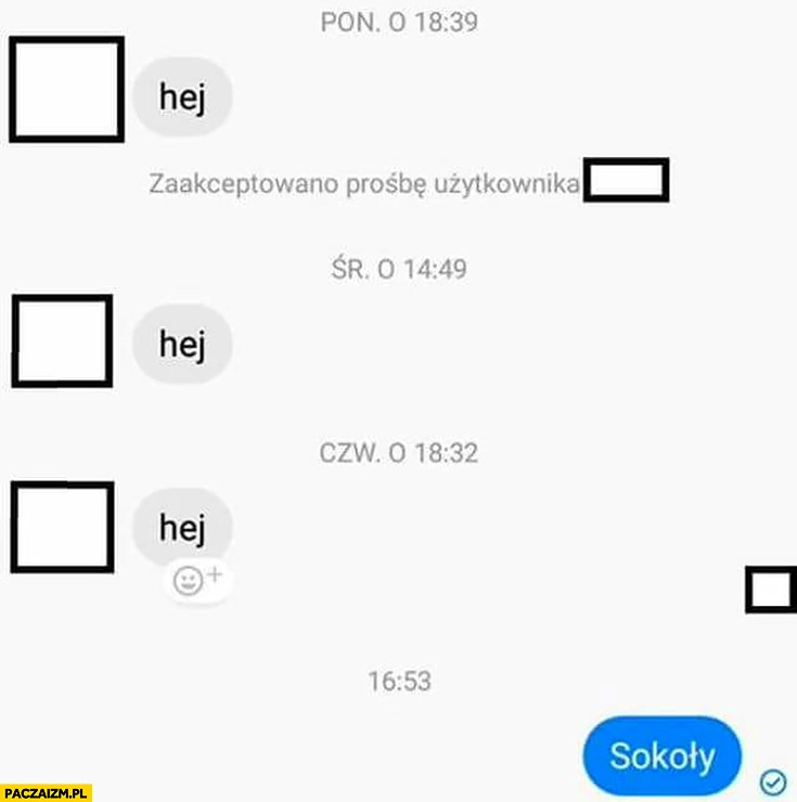 
    Hej hej hej sokoły rozmowa na messengerze