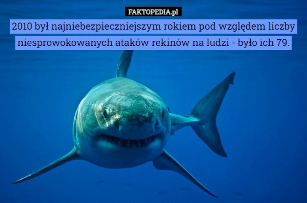 
    2010 był najniebezpieczniejszym rokiem pod względem liczby niesprowokowanych