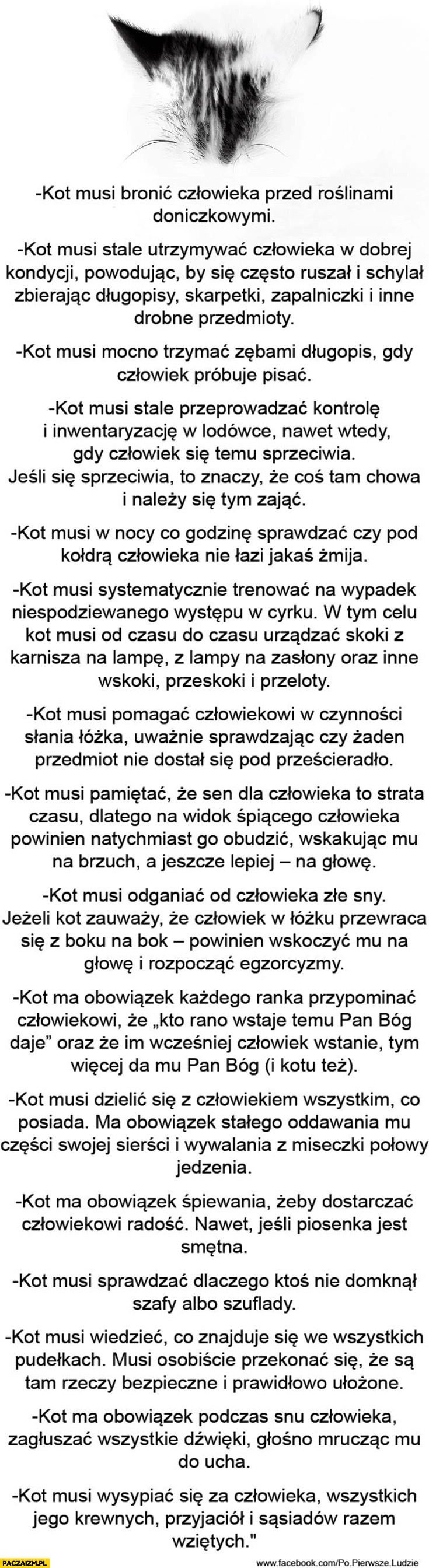 
    Obowiązki domowe kota