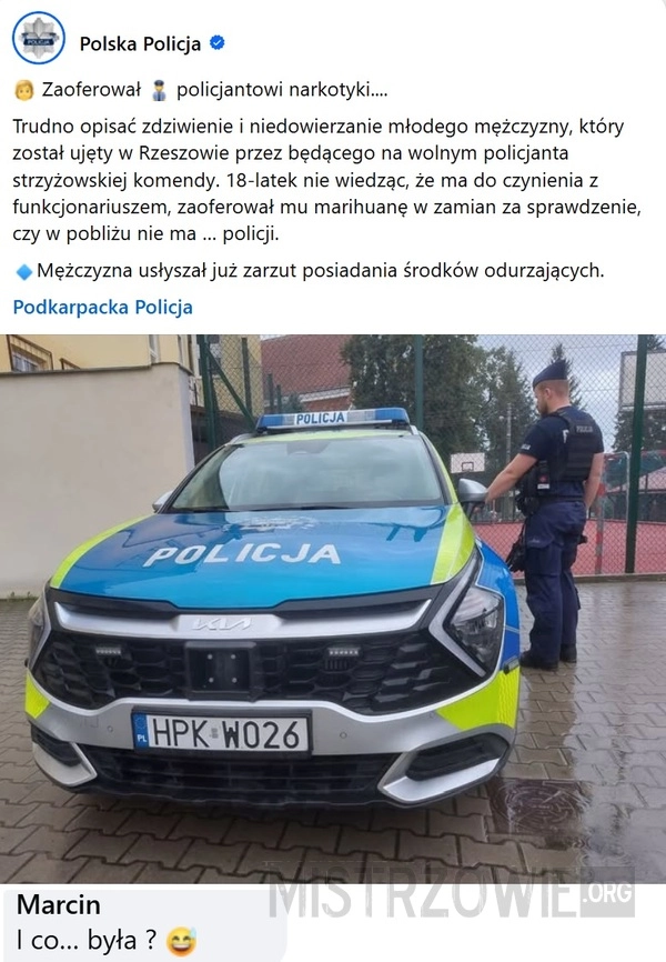 
    Oferta