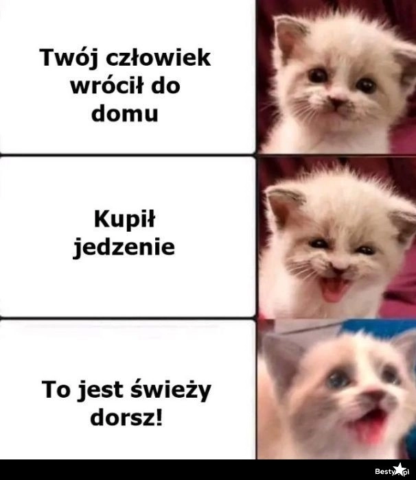 
    Będzie jedzone 