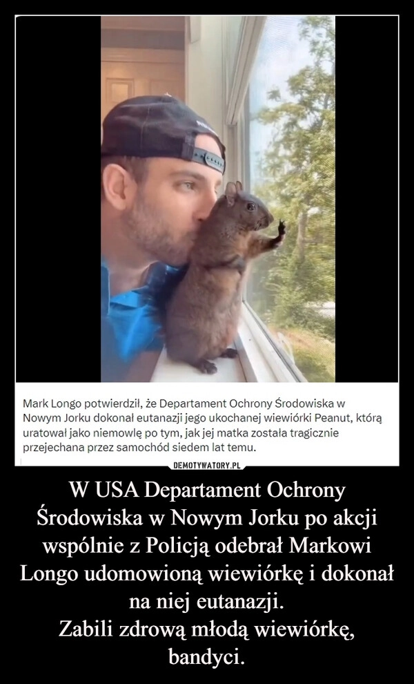 
    W USA Departament Ochrony Środowiska w Nowym Jorku po akcji wspólnie z Policją odebrał Markowi Longo udomowioną wiewiórkę i dokonał na niej eutanazji.
Zabili zdrową młodą wiewiórkę, bandyci.