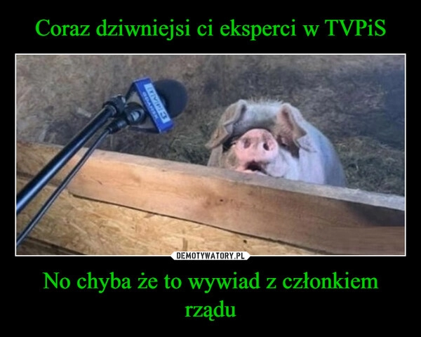 
    Coraz dziwniejsi ci eksperci w TVPiS No chyba że to wywiad z członkiem rządu