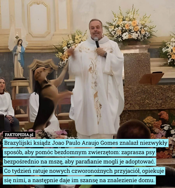 
    Brazylijski ksiądz Joao Paulo Araujo Gomes znalazł niezwykły sposób, aby...