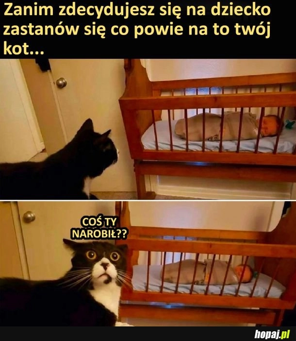 
    Zanim zdecydujesz się na dziecko...