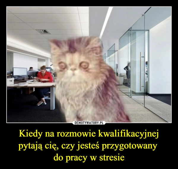 
    Kiedy na rozmowie kwalifikacyjnej pytają cię, czy jesteś przygotowany 
do pracy w stresie