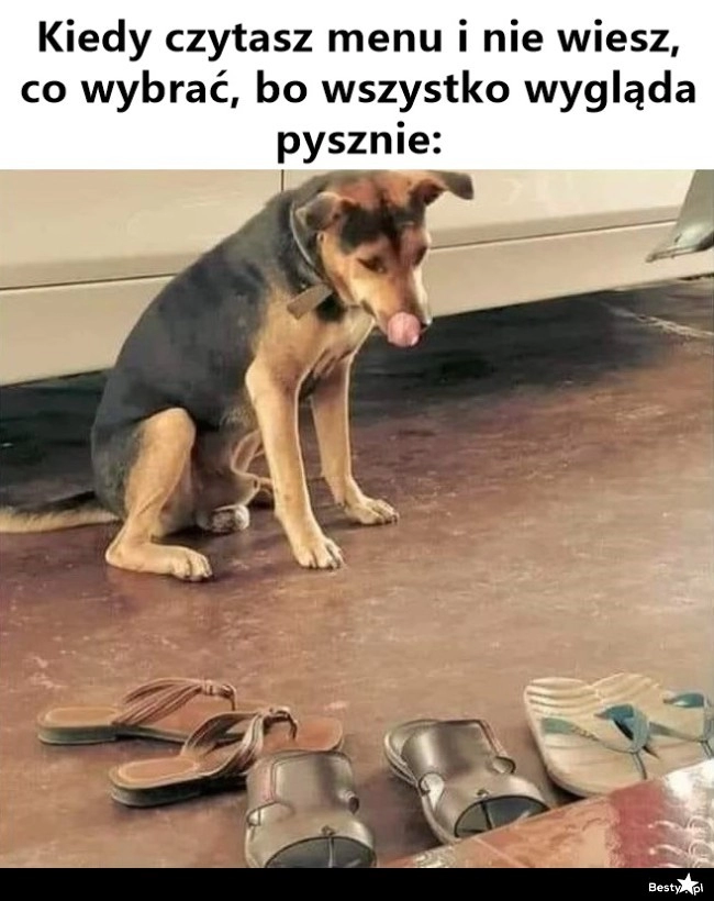 
    Hmm, ciężki wybór 