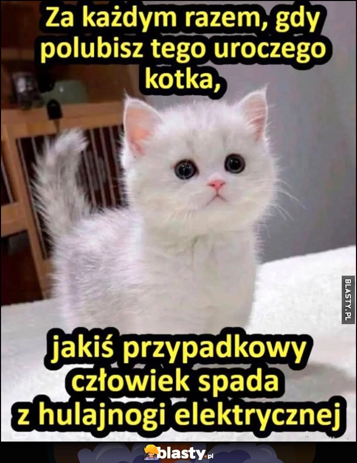 
    Za każdym razem, gdy polubisz tego uroczego kotka jakiś przypadkowy człowiek spada z hulajnogi elektrycznej