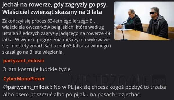 
    Jechał na rowerze, gdy zagryzły go psy