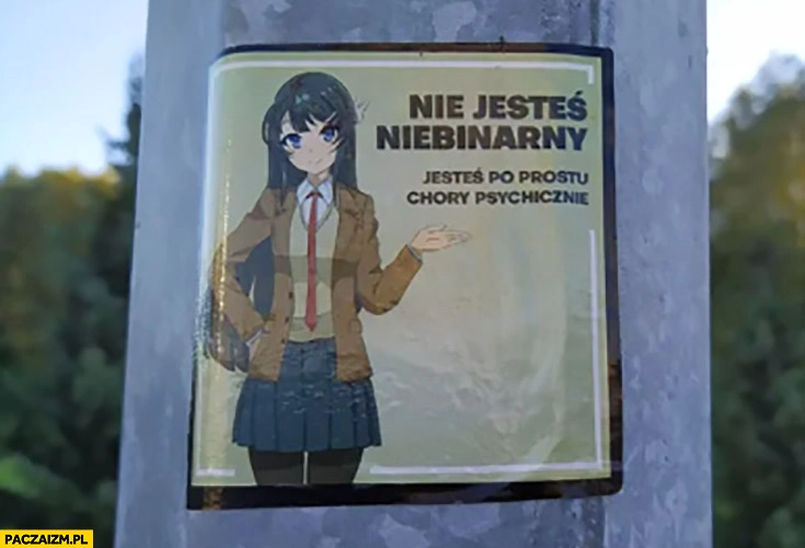 
    Nie jesteś niebinarny, jesteś po prostu chory psychicznie