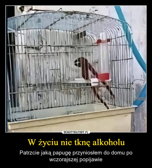 
    W życiu nie tknę alkoholu
