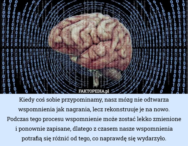 
    Kiedy coś sobie przypominamy, nasz mózg nie odtwarza wspomnienia jak nagrania...