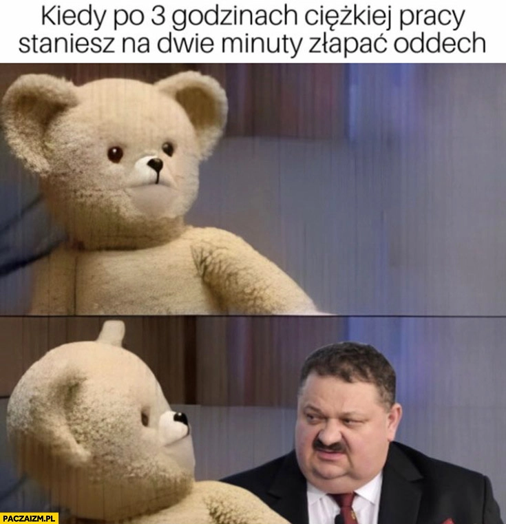 
    Kiedy po 3 godzinach ciężkiej pracy staniesz na dwie minuty złapać oddech miś Janusz Alfa