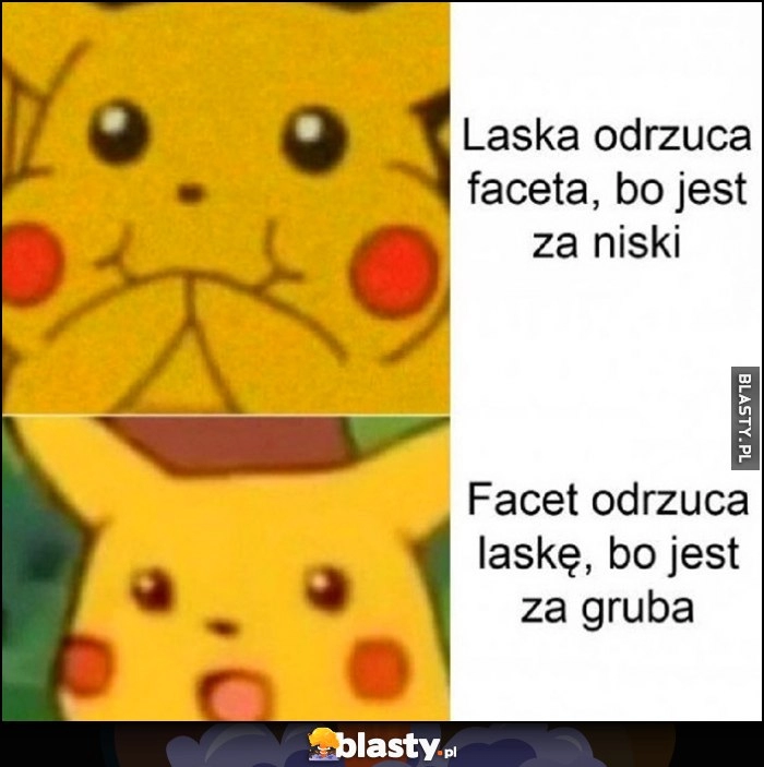 
    Laska odrzuca faceta bo jest za niski vs facet odrzuca laskę, bo jest za gruba Pokemon Pikachu