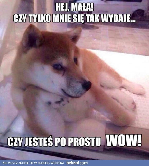 
    Pieseł podrywacz