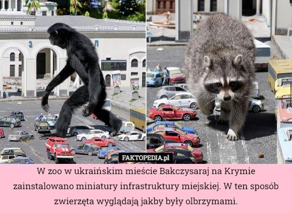 
    W zoo w ukraińskim mieście Bakczysaraj na Krymie zainstalowano miniatury