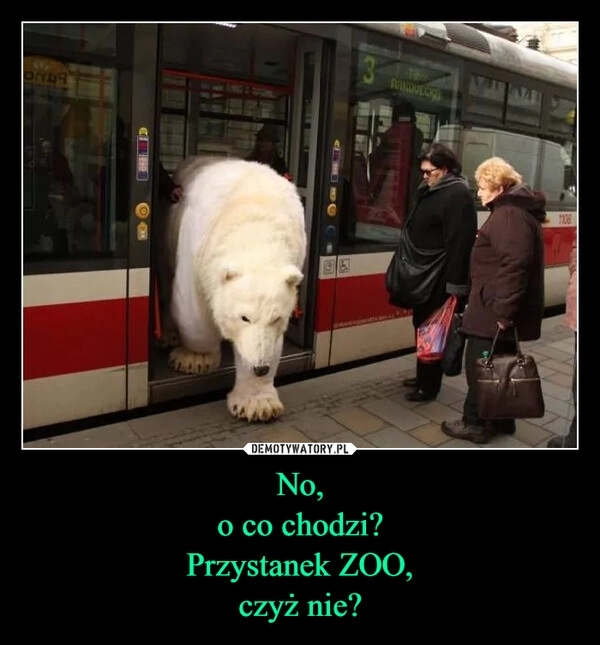 
    No,
o co chodzi?
Przystanek ZOO,
czyż nie?