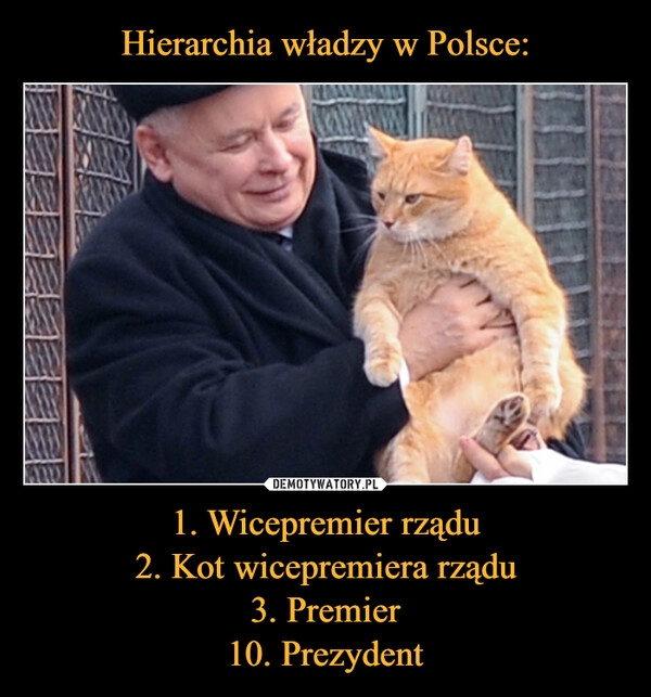 
    Hierarchia władzy w Polsce: 1. Wicepremier rządu
2. Kot wicepremiera rządu
3. Premier
10. Prezydent