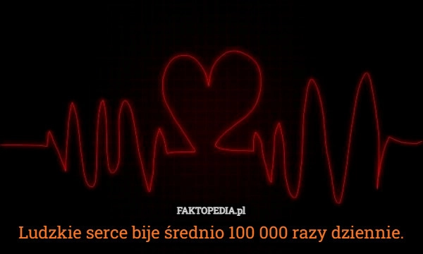 
    Ludzkie serce bije średnio 100 000 razy dziennie.