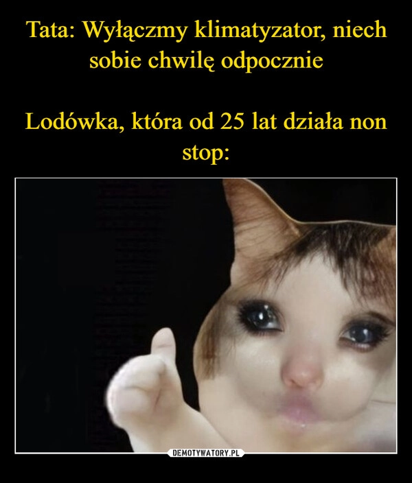 
    Tata: Wyłączmy klimatyzator, niech sobie chwilę odpocznie

Lodówka, która od 25 lat działa non stop: