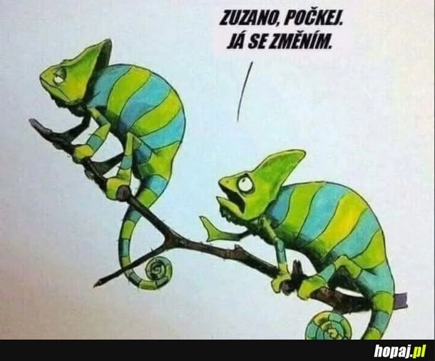 
    Zuzanno, pockej