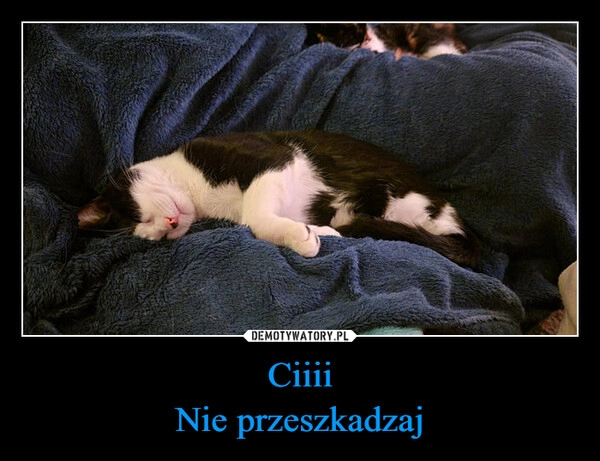 
    Ciiii
Nie przeszkadzaj