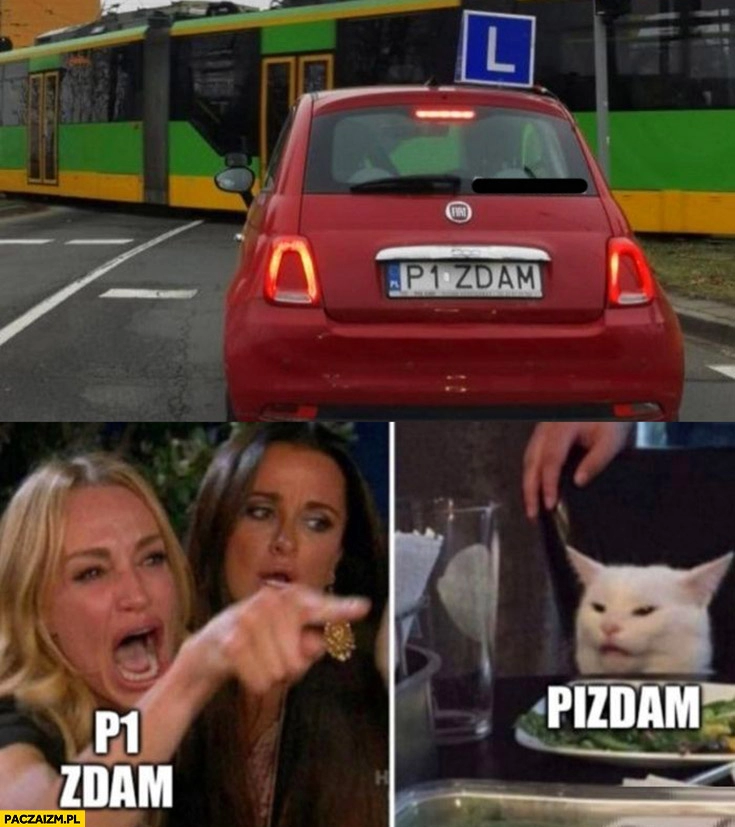 
    P1 zdam kot odczytuje tablice rejestracyjna jako pizdam