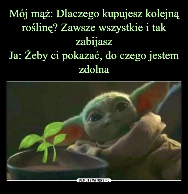 
    Mój mąż: Dlaczego kupujesz kolejną roślinę? Zawsze wszystkie i tak zabijasz
Ja: Żeby ci pokazać, do czego jestem zdolna