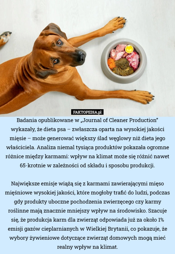 
    Badania opublikowane w „Journal of Cleaner Production” wykazały, że dieta