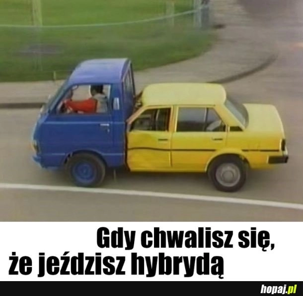 
    Hybrydowy człowiek