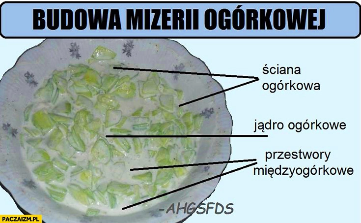 
    Budowa mizerii ogórkowej: ściana ogórkowa, jądro ogórkowe, przestwory miedzyogórkowe