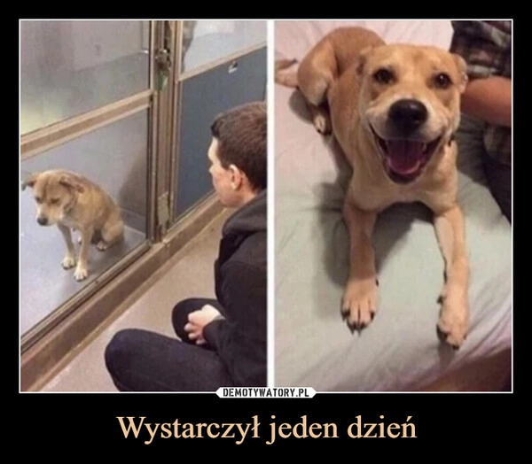 
    Wystarczył jeden dzień