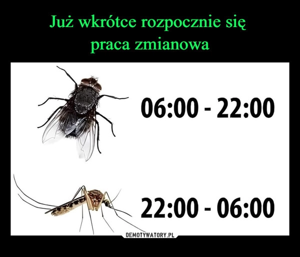 
    Już wkrótce rozpocznie się 
praca zmianowa