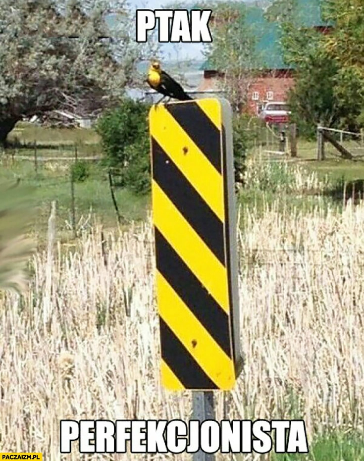 
    Ptak perfekcjonista na żółto-czarnym znaku