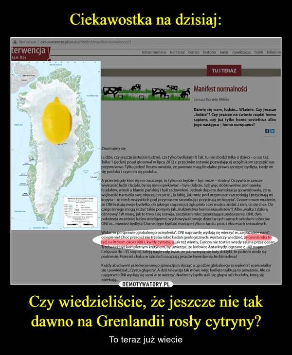 
    Ciekawostka na dzisiaj: Czy wiedzieliście, że jeszcze nie tak dawno na Grenlandii rosły cytryny?