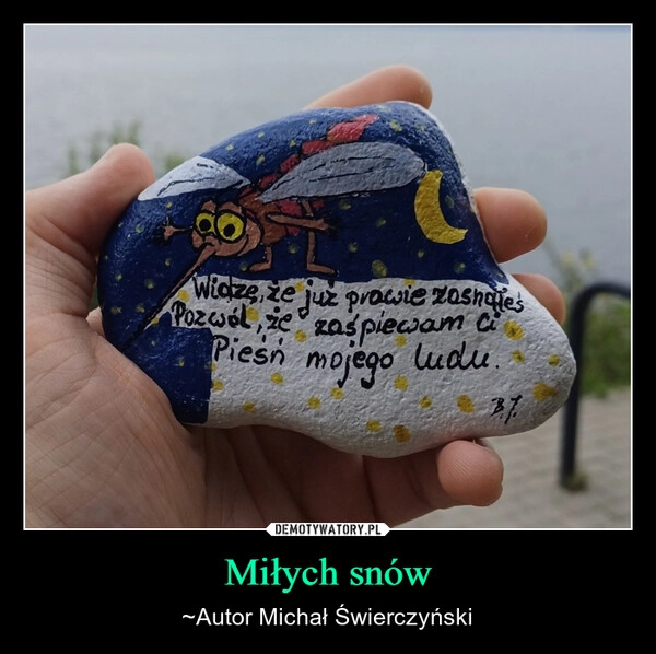 
    Miłych snów