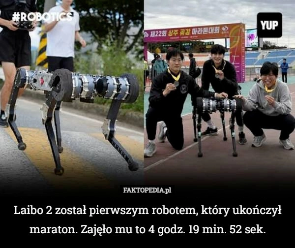 
    Laibo 2 został pierwszym robotem, który ukończył maraton. Zajęło mu to 4...