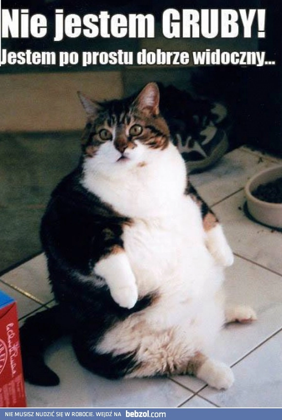 
    Ja nie jestem gruby