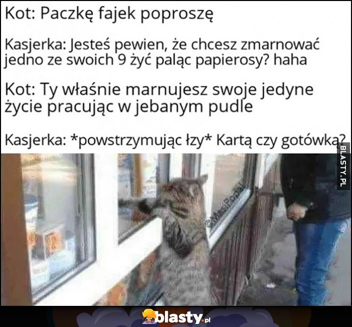 
    Kot: paczkę fajek poproszę, na pewno chcesz zmarnować jedno z 9 żyć, kot: ty marnujesz swoje pracując w pudle