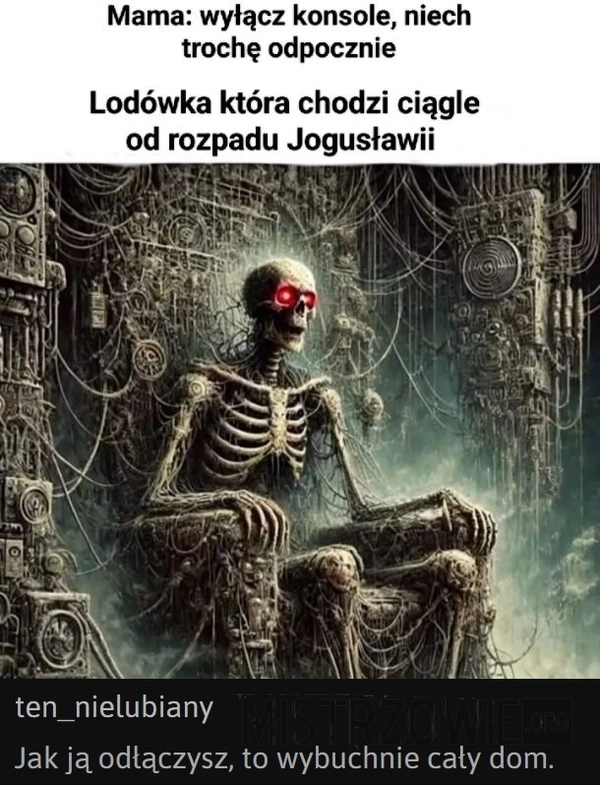 
    Lodówka