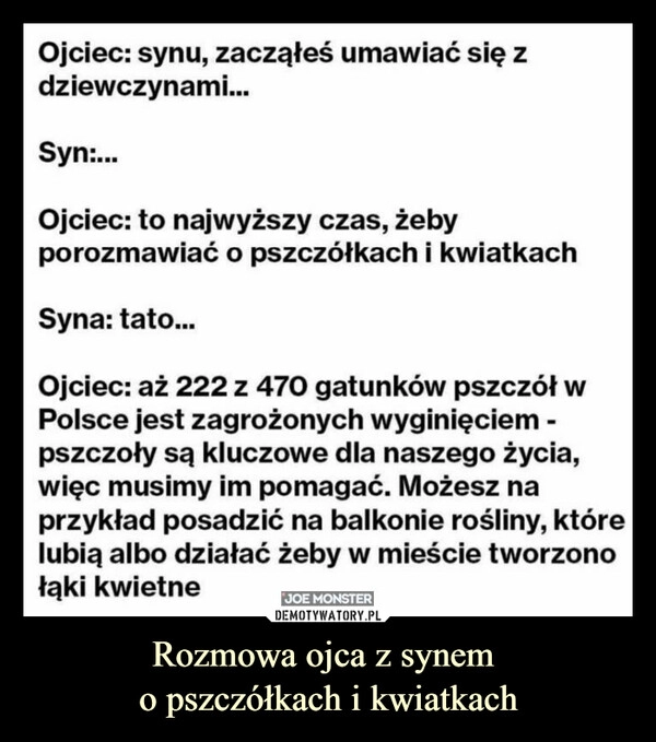 
    Rozmowa ojca z synem 
o pszczółkach i kwiatkach