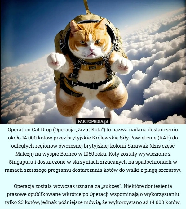 
    Operation Cat Drop (Operacja „Zrzut Kota”) to nazwa nadana dostarczeniu...